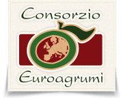 Scopri il Consorzio Euroagrumi